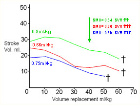 Graph 2