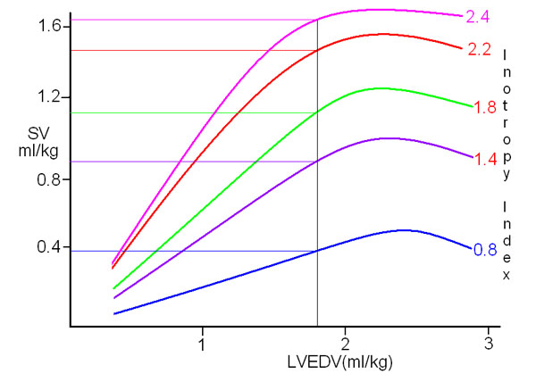 Graph 5